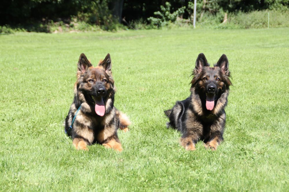 Kasha mit ihrem Sohn Anjo